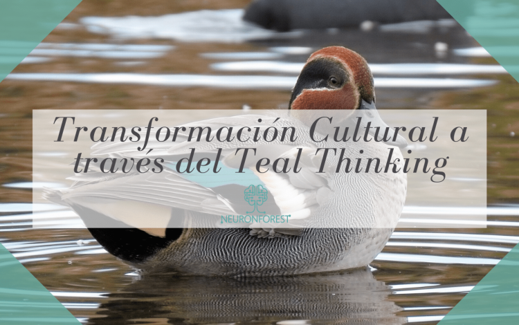 Transformación Cultural a través del Teal Thinking